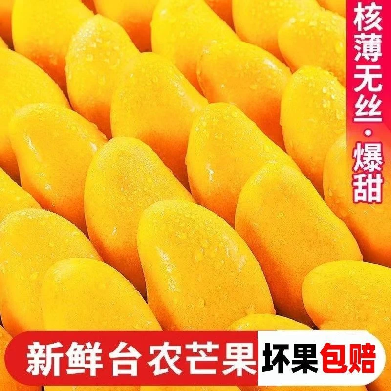 正宗大台农芒果新鲜贵州高山现摘大果鲜芒果应季水果香甜多汁皮薄