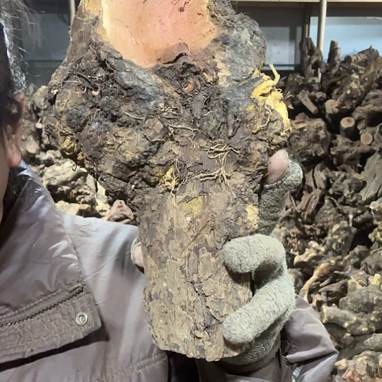 香榧木安*火琉璃的毛料摆件