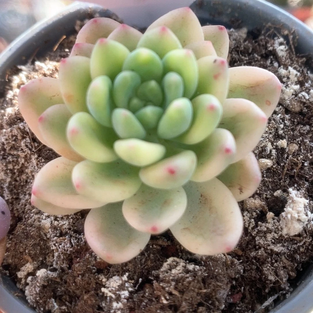 034哈哈哈哈哈哈哈哈哈哈哈