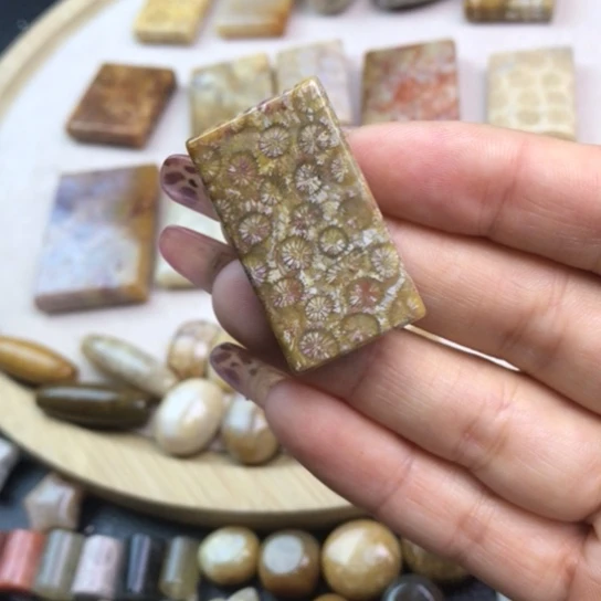 硅化玉未镶嵌颈饰