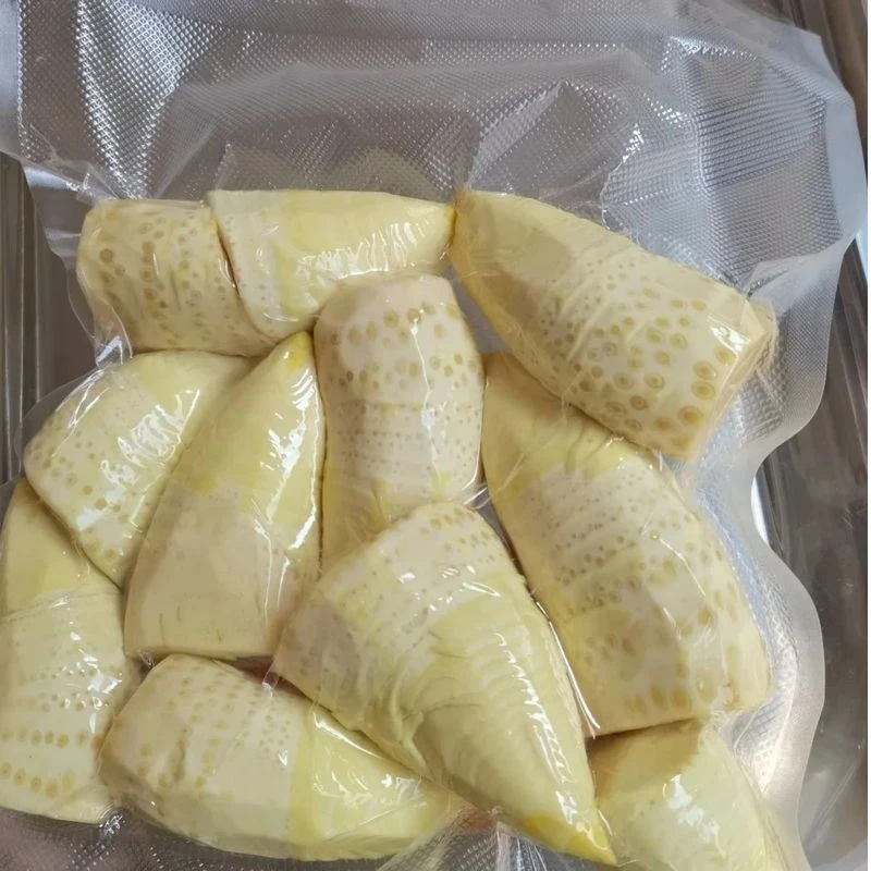 2025年新笋春笋冬笋新鲜江西野生竹笋袋装玉兰笋嫩笋尖火锅笋炒菜