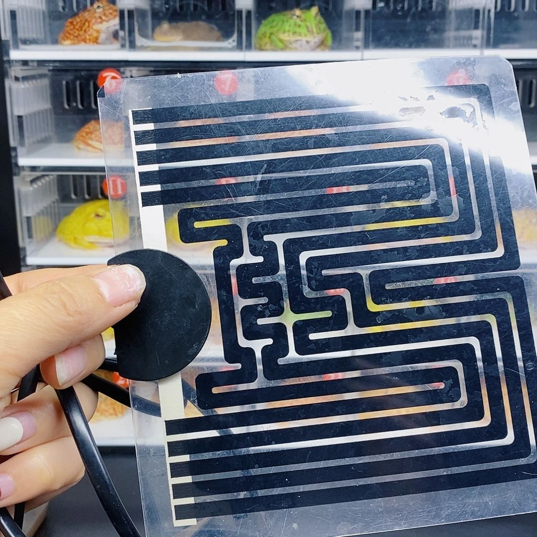 角蛙加热垫一个加热垫