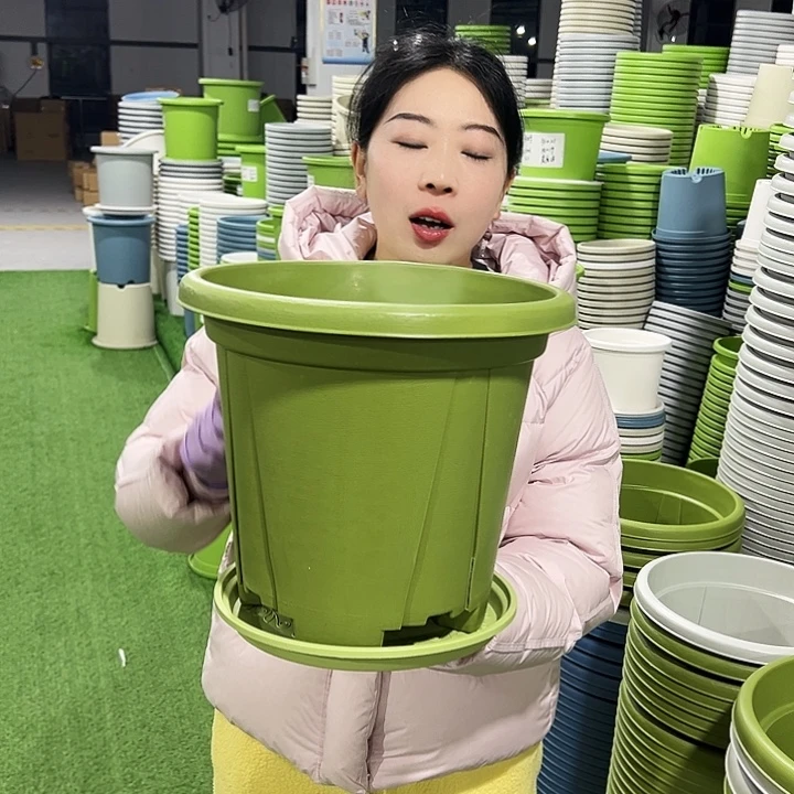 清仓青山口32高28果绿5只带托