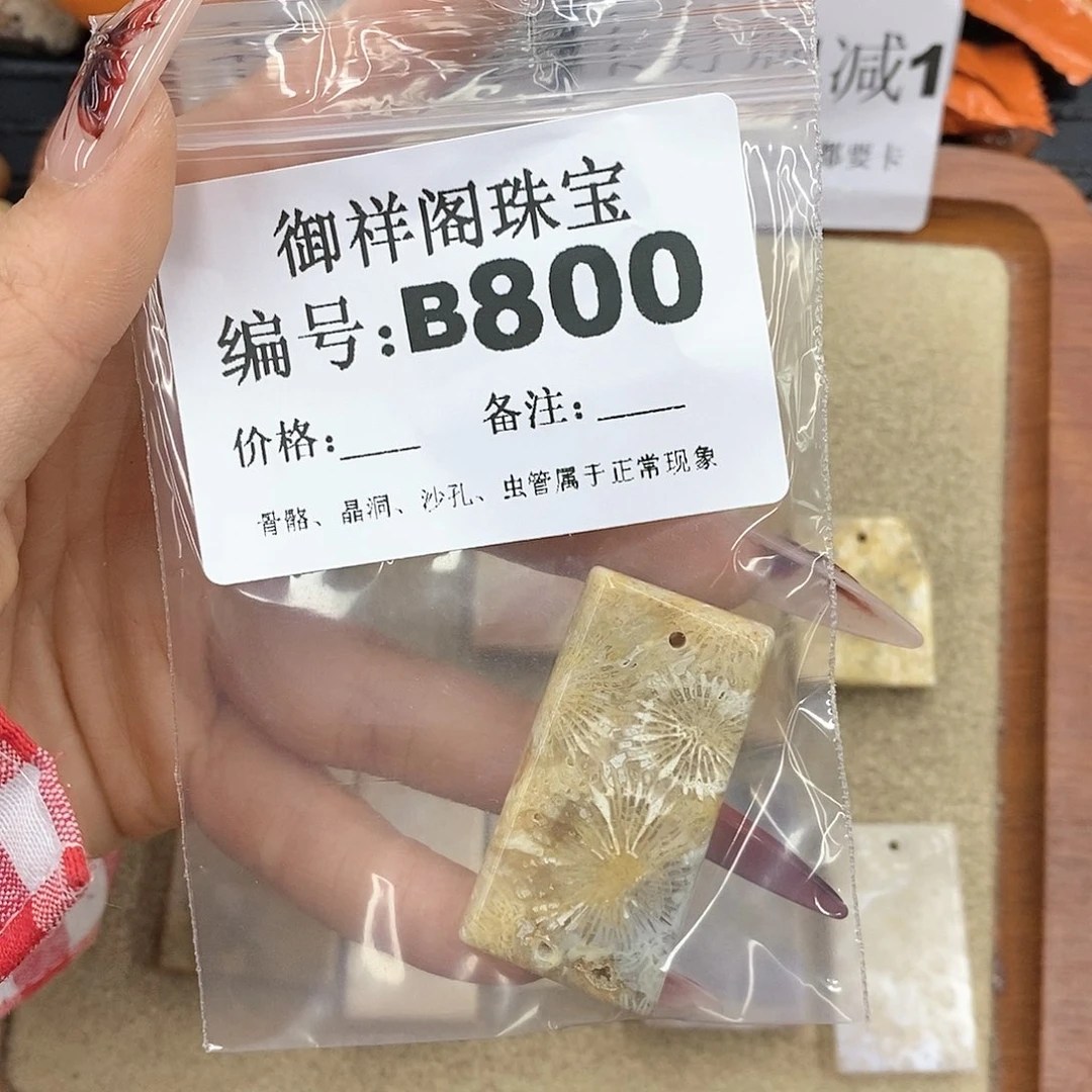 硅化珊瑚（珊瑚玉）颈饰未镶嵌干*橘