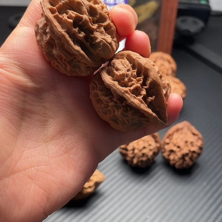 地***贝手串/手链核桃秦岭