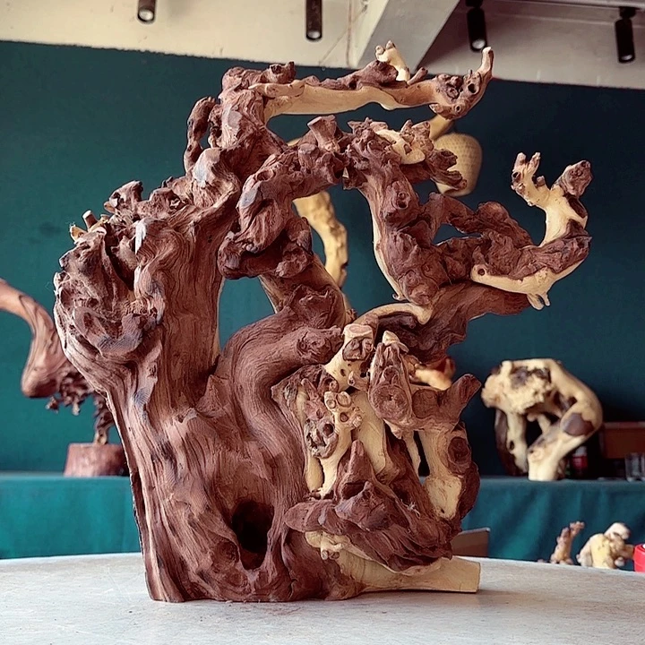 黑果木突**笑876 金丝红木羊蹄甲半成品