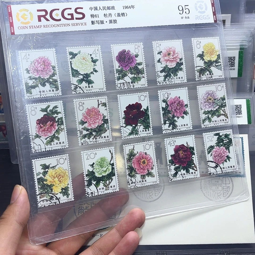 赵***辉特61盖销中钱国信95片