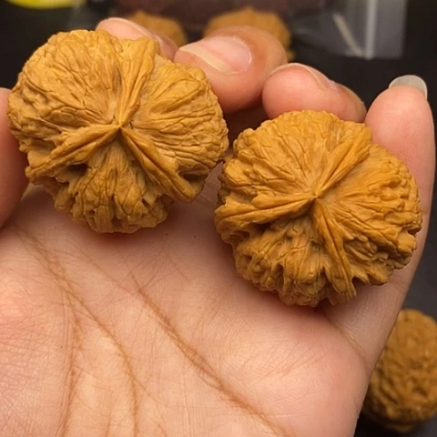 文玩核桃把件39尺云南核桃