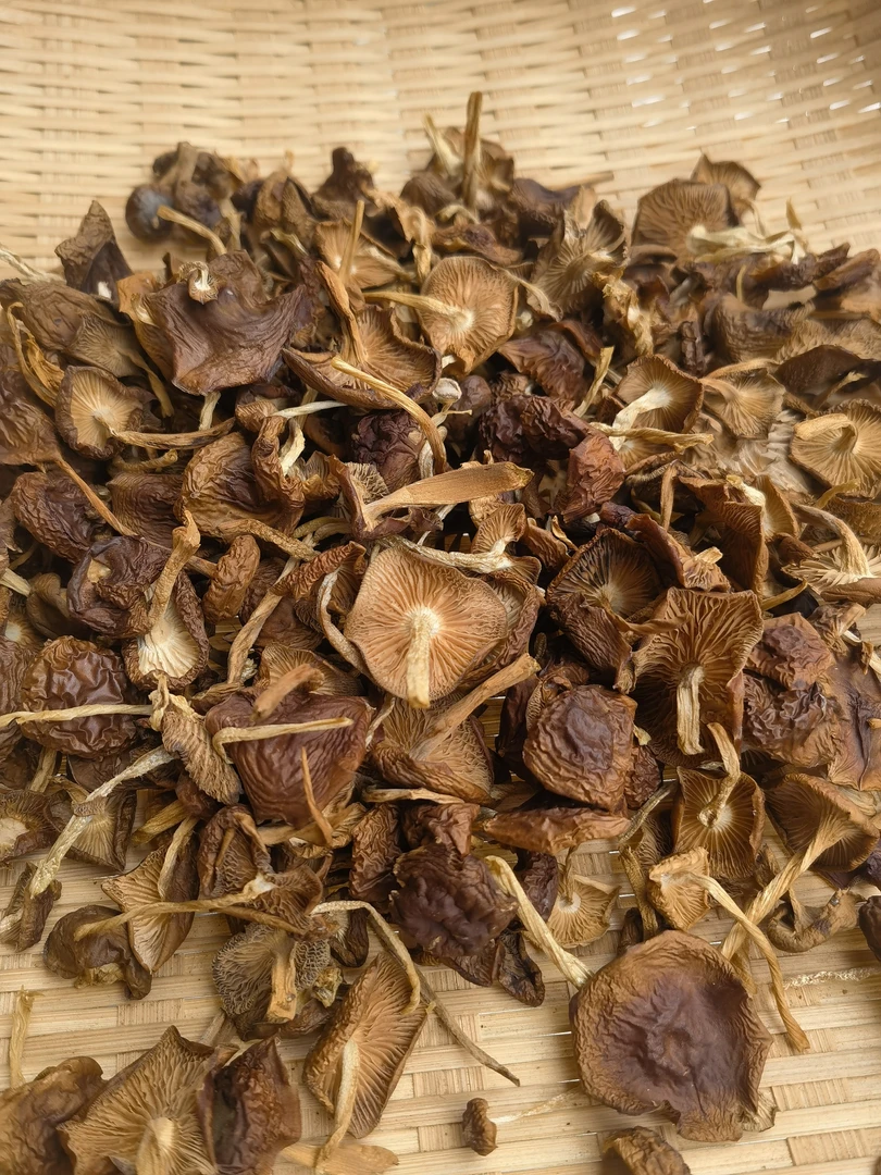 云南土特产山货～山茶茸菌～阿红臻选