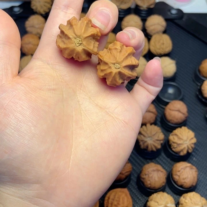 把件文玩核桃龙脊八棱