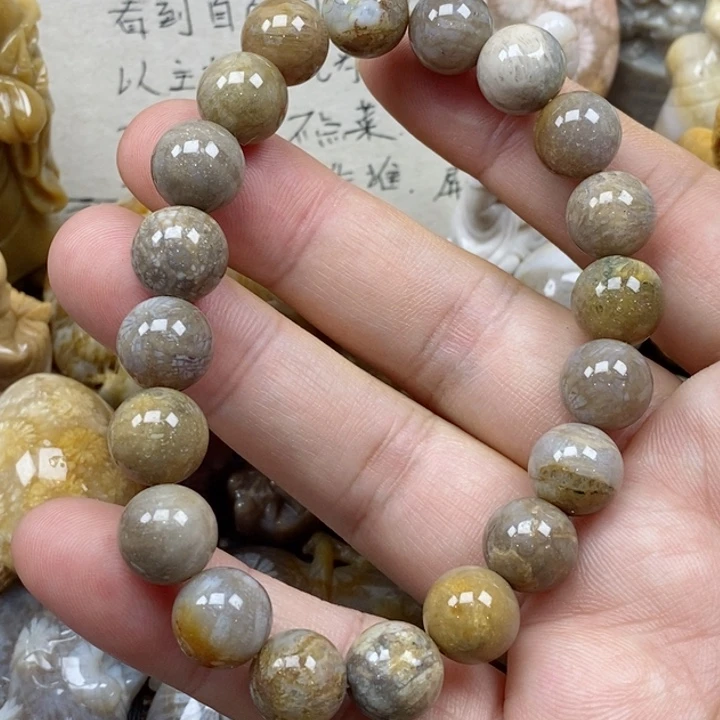 颈饰未镶嵌硅化珊瑚（珊瑚玉）