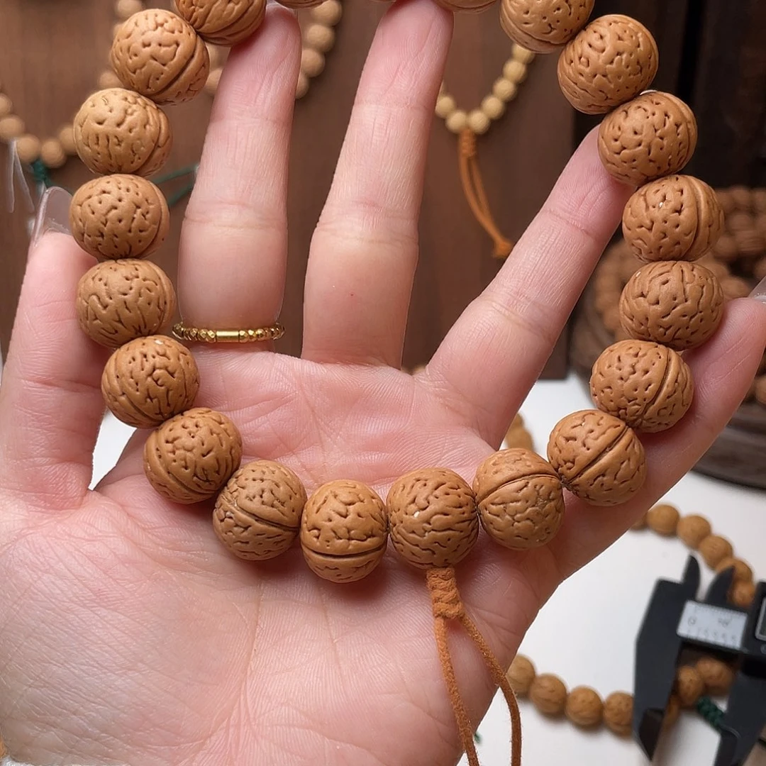 ノ****16.4野生灯笼滴溜圆矮2