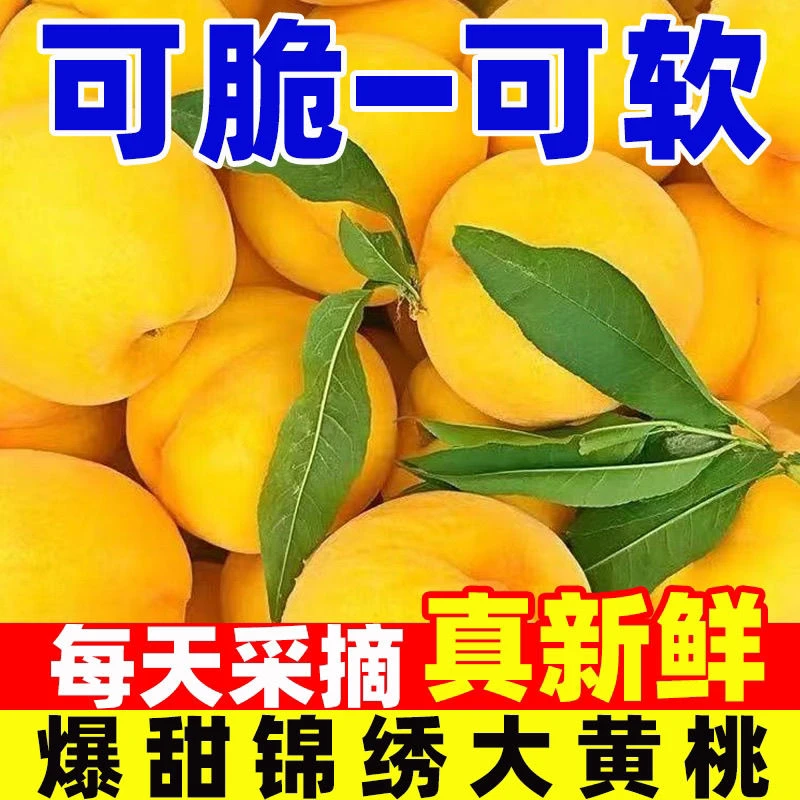 锦绣黄桃4.5斤装水蜜桃可脆可软甜蜜蜜桃子夏季水