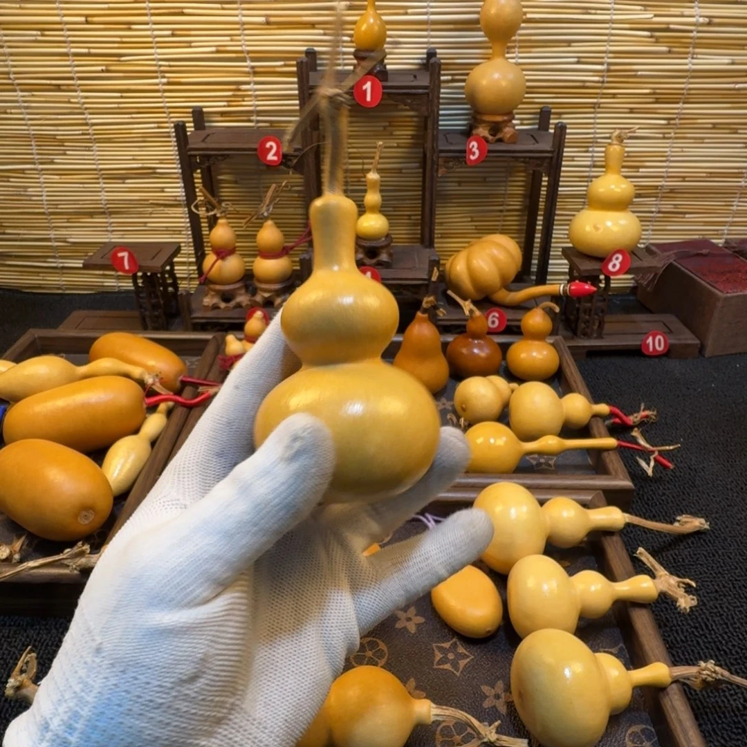 Y***'好好好好好好好好好