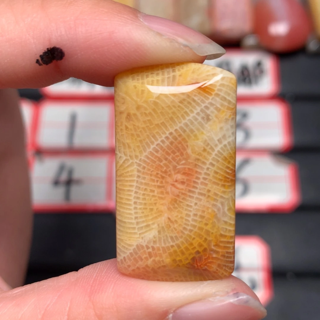 【闪购商品】未镶嵌颈饰硅化玉北*