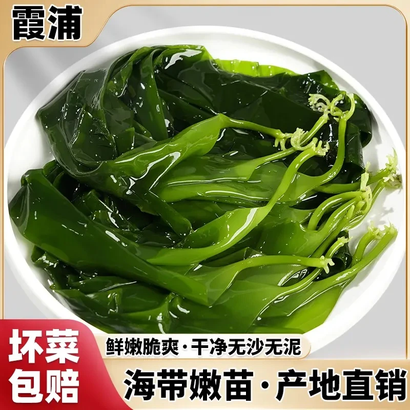 海底盐渍海带苗海带丝鲜嫩脆爽凉拌涮火锅炖汤营养丰富美味500克