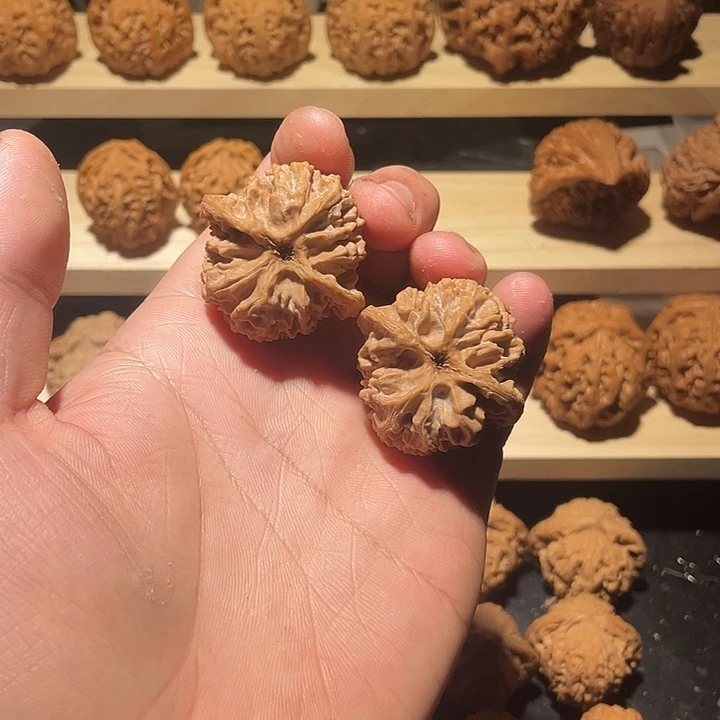 苹果园狮子头38全品