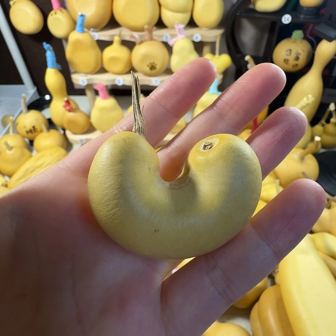 普***元大叶紫檀（黑酸枝木类）