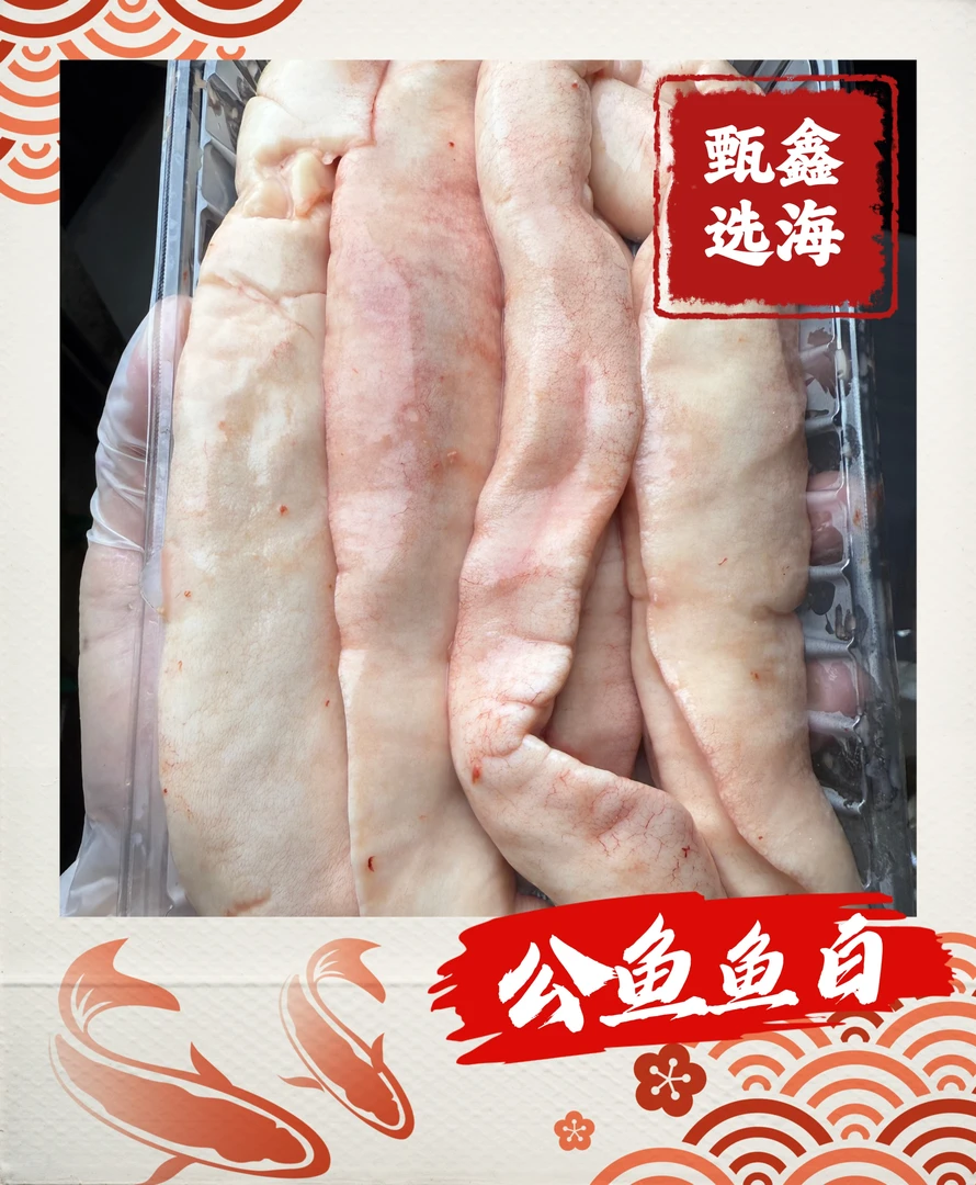 赤嘴鳘鱼 公鱼白