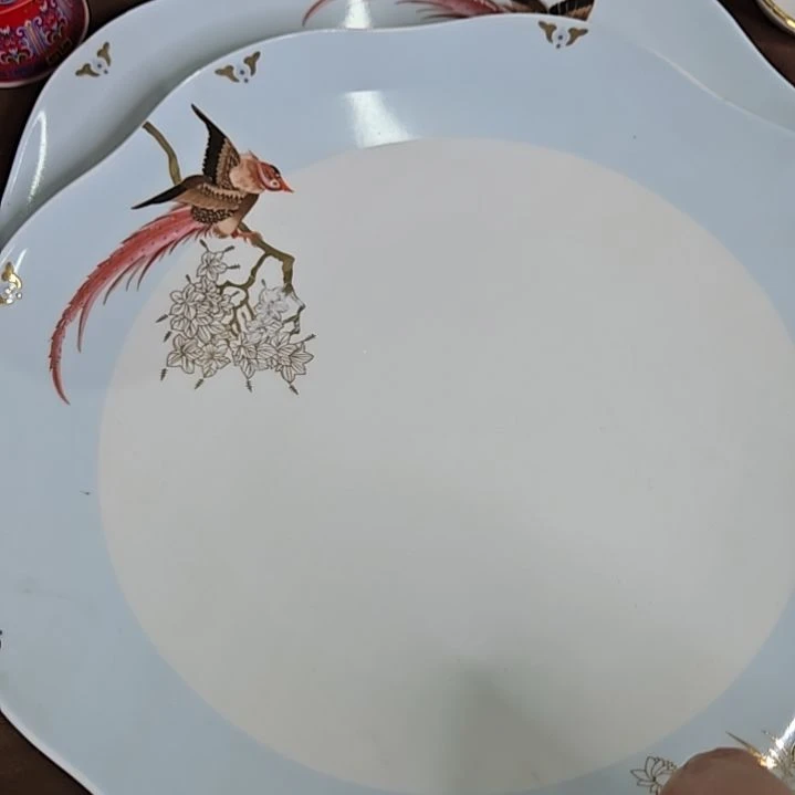 瓷片微瑕奥维10寸2个大盘6666666