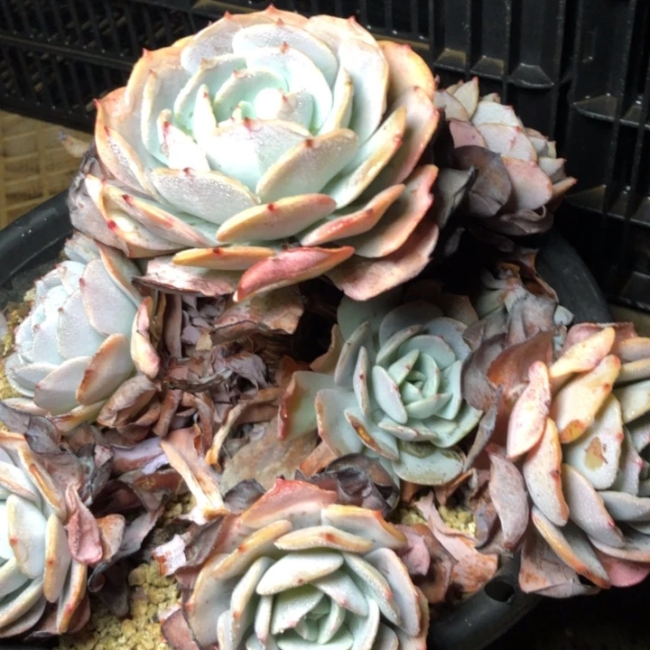 74//////////////////