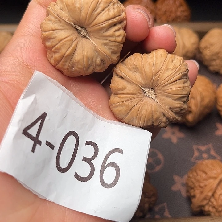 核桃38全品南瓜墩4036