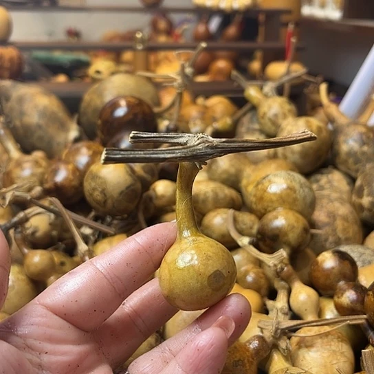 用****0葫芦葫芦葫芦葫芦