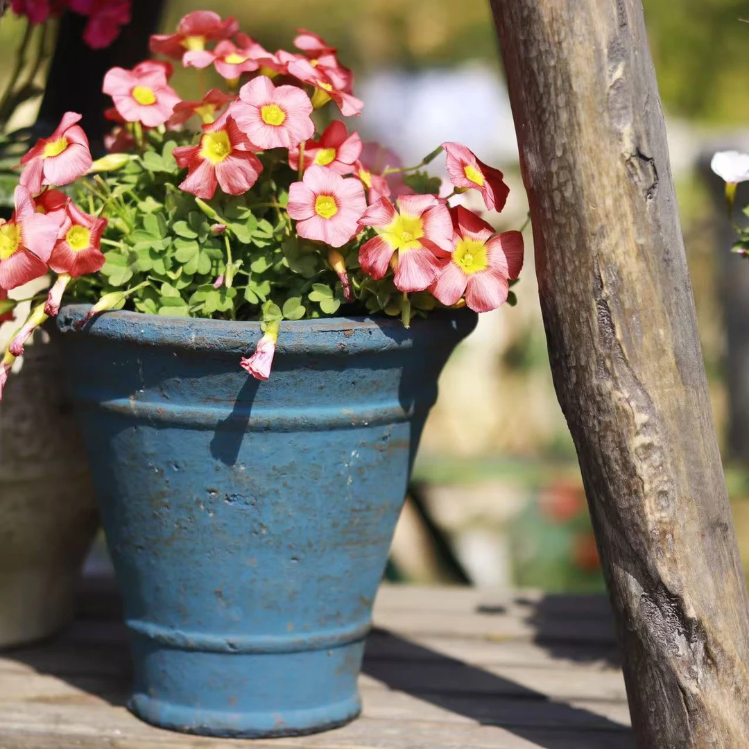 【南乔花园】手工做旧窄底灰蓝陶盆简约复古盆小众文艺草花多肉花盆