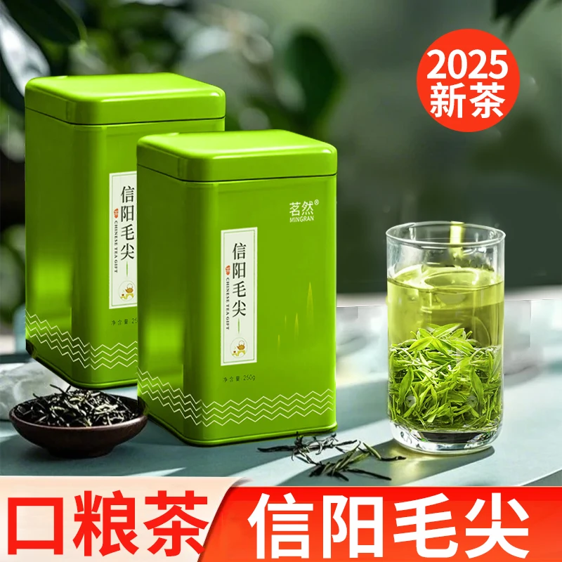 口粮信阳毛尖绿茶2025新茶鲜嫩春茶茶叶浓香耐泡茶叶自己喝罐装