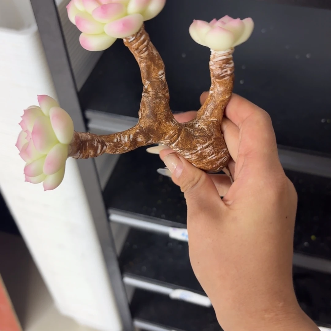 悦***树脂制品39号噢噢噢噢