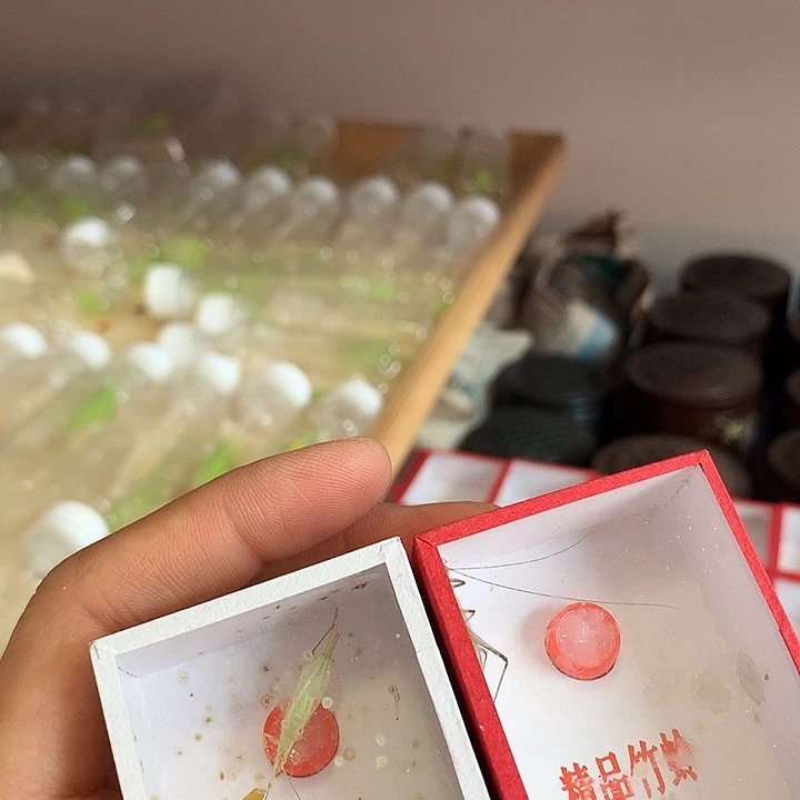 哈哈哈哈哈哈哈哈