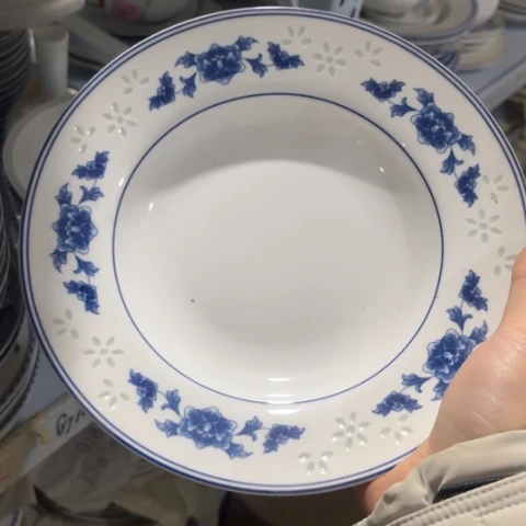 其他瓷8寸深盘一个