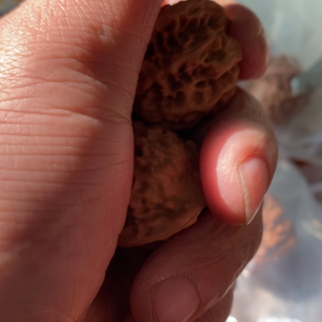 秦岭南缘为大峡谷