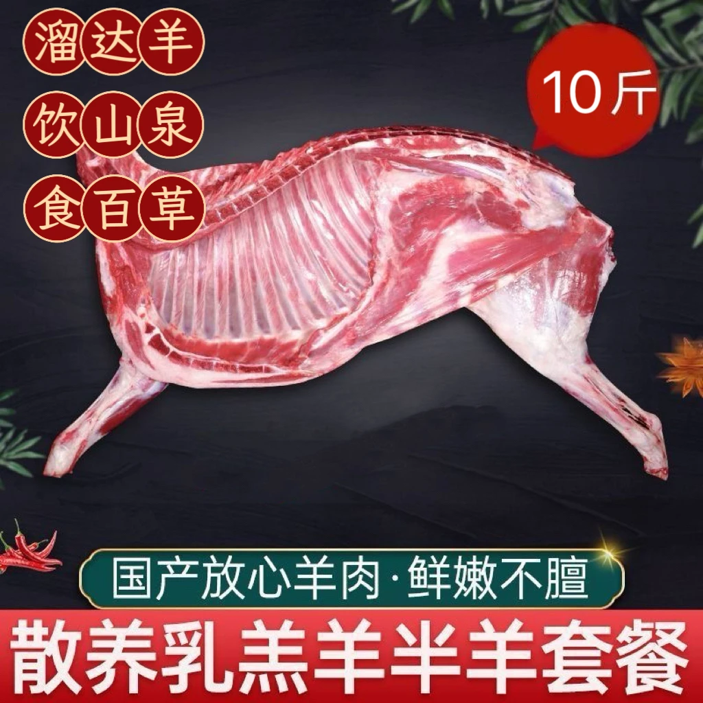 新鲜羊肉原切半羊排散养草原羔羊羊腿肋排清真烧烤
