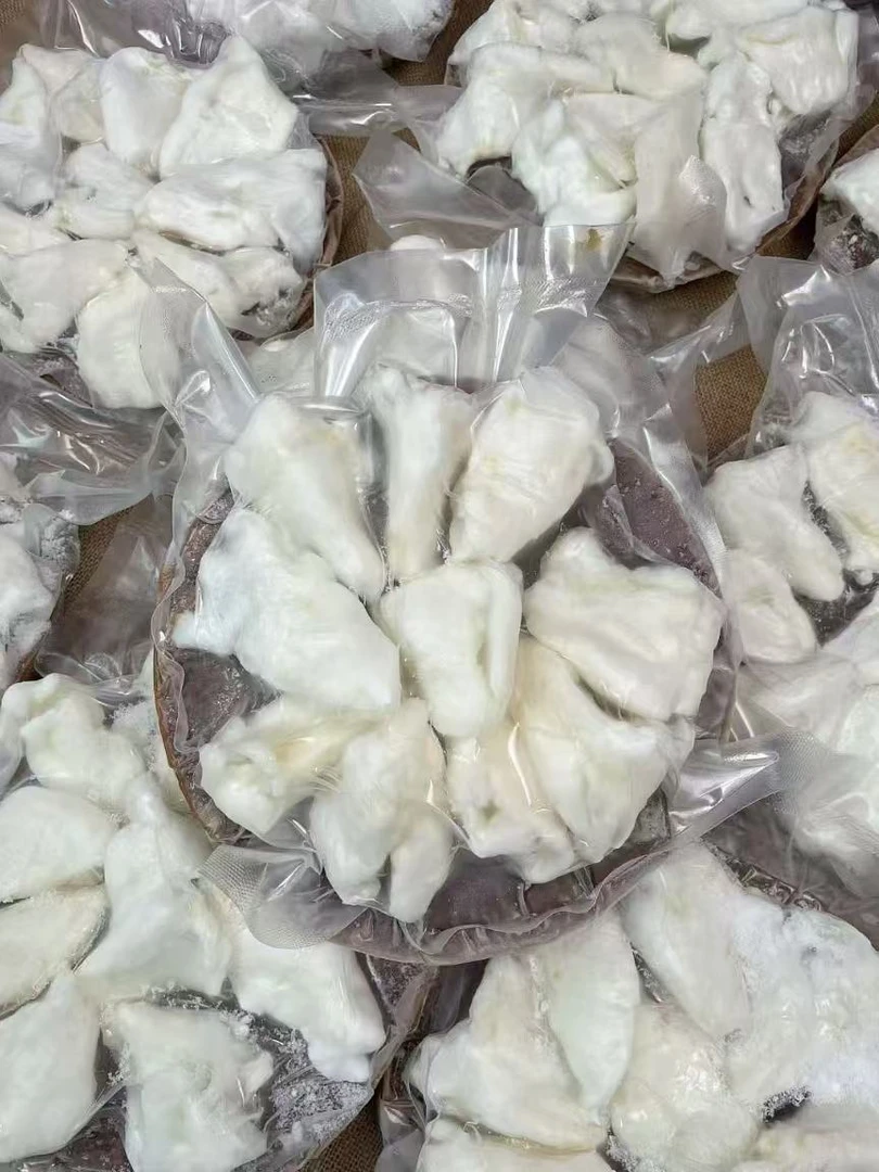 【飞飞严选】鲍汁扣花胶【请放置急冻存放】