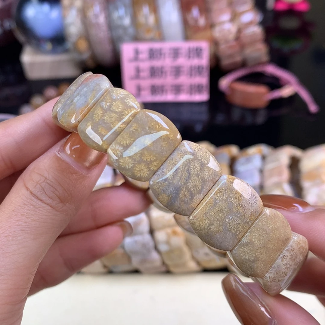 【闪购商品】颈饰未镶嵌硅化珊瑚（珊瑚玉）上新手牌（51号）