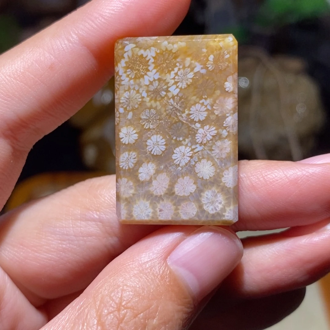 【闪购商品】硅化玉颈饰未镶嵌