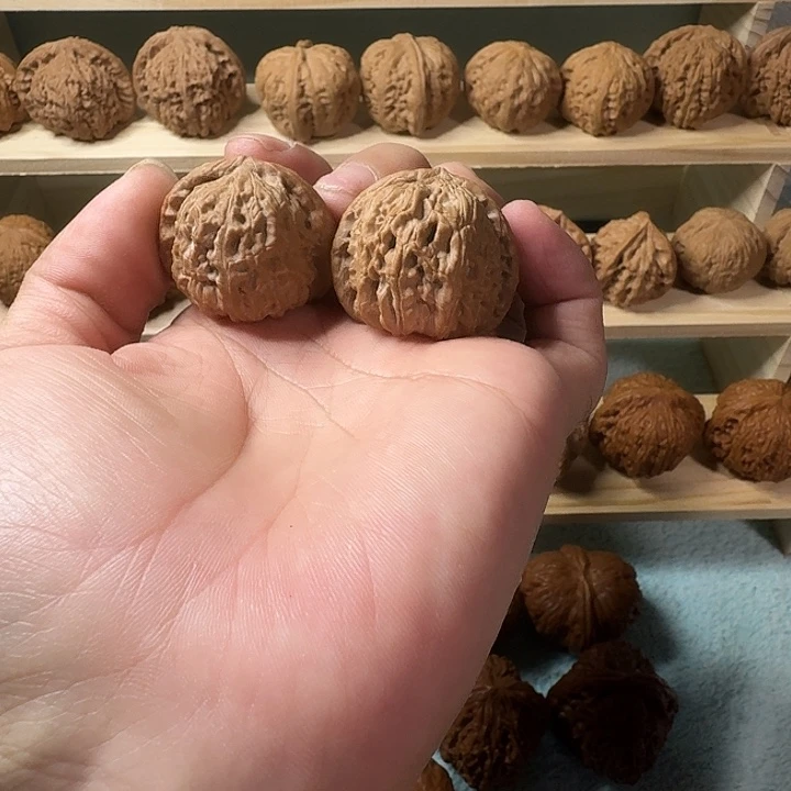 文玩核桃吊坠三角白