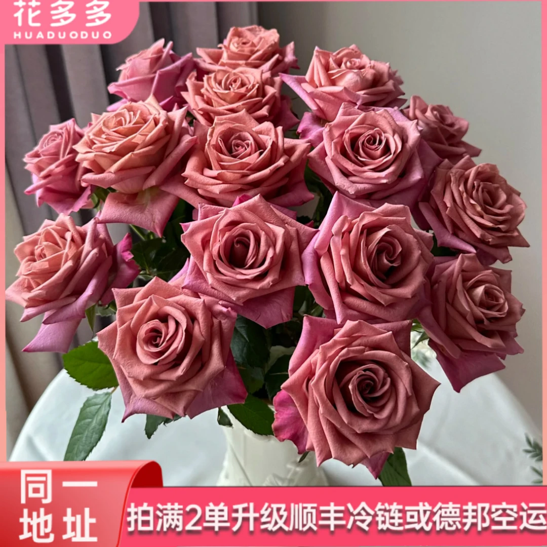 【调香师】复古色系单头玫瑰10支 全场鲜花任意满两单升级冷链