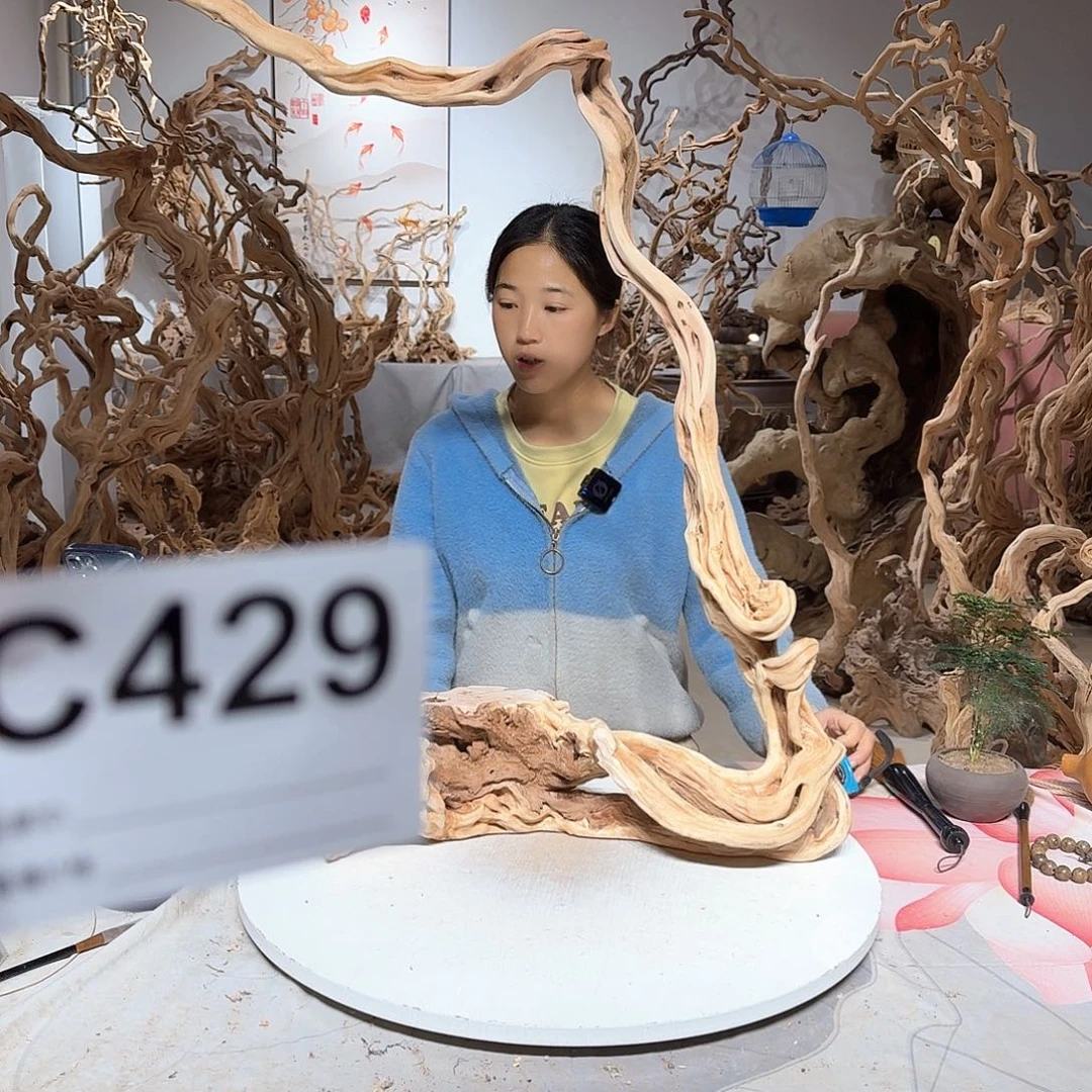 风车木（黑檀木）胖*叔