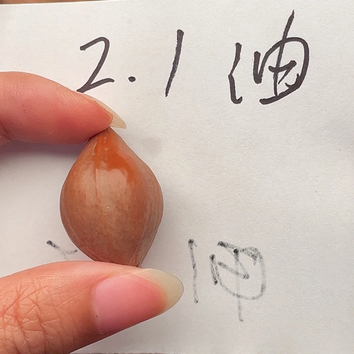 梁***子橄榄核手串/手链橄榄