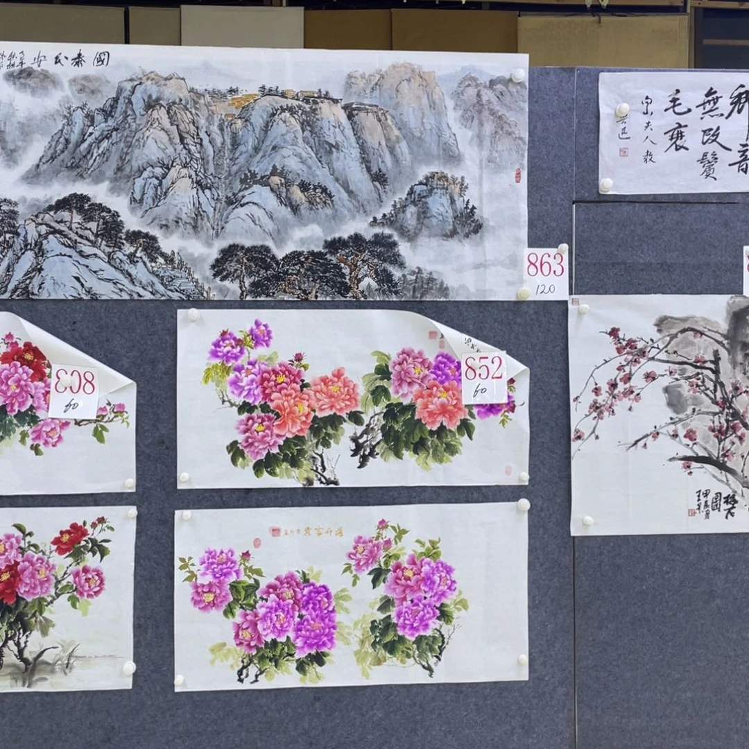 国画杨*胜A863 a a a a a a a a