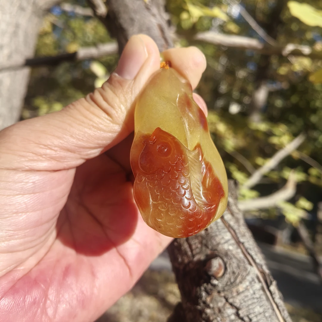 天然辽阳红玉挂坠鲤鱼红学生