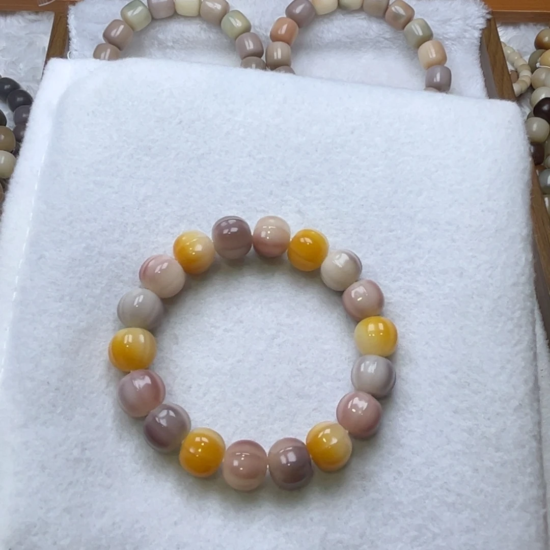 D***.手串菩提根/象牙果鲨鱼背