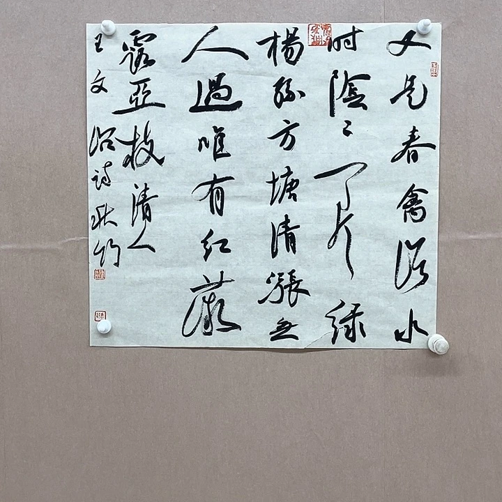 书法陈昊（字秋竹）48*45㎝宁夏LS