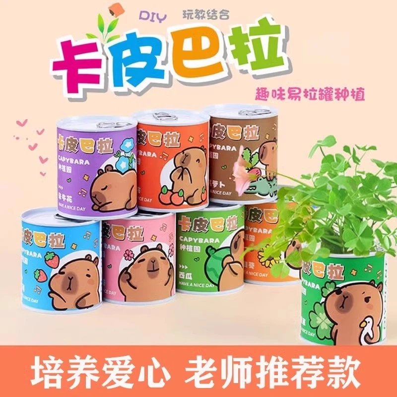 新奇绿植神奇植物办公室绿植小盆栽室内迷你桌面儿童种植物罐头花