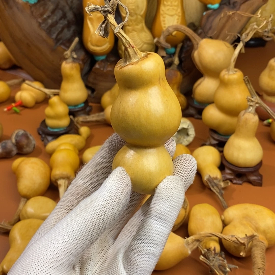 洋***羊教练咯教练咯好教练