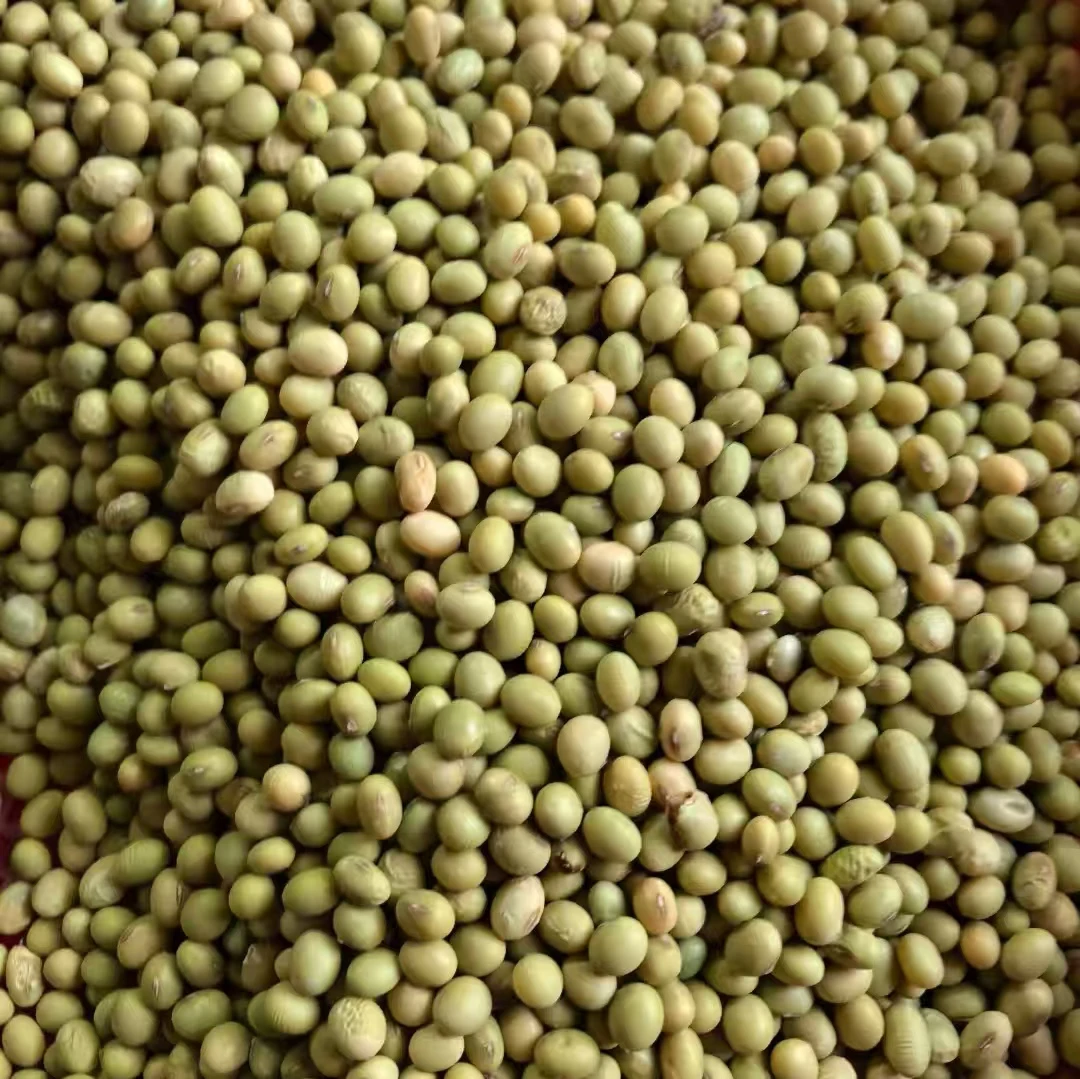 湖北恩施高山富硒黄豆又有检测报告人工选种土家肥打豆浆泡豆芽用