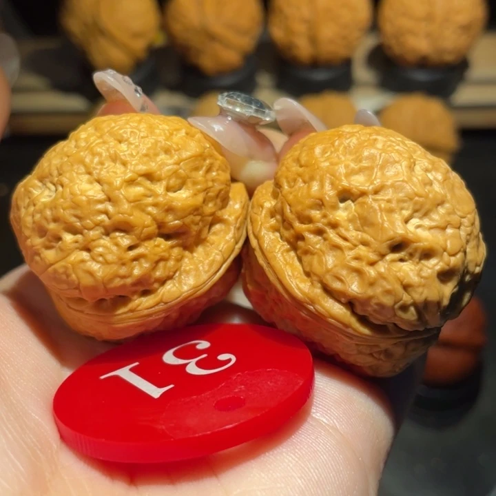 帝王蟾38尺寸核桃，