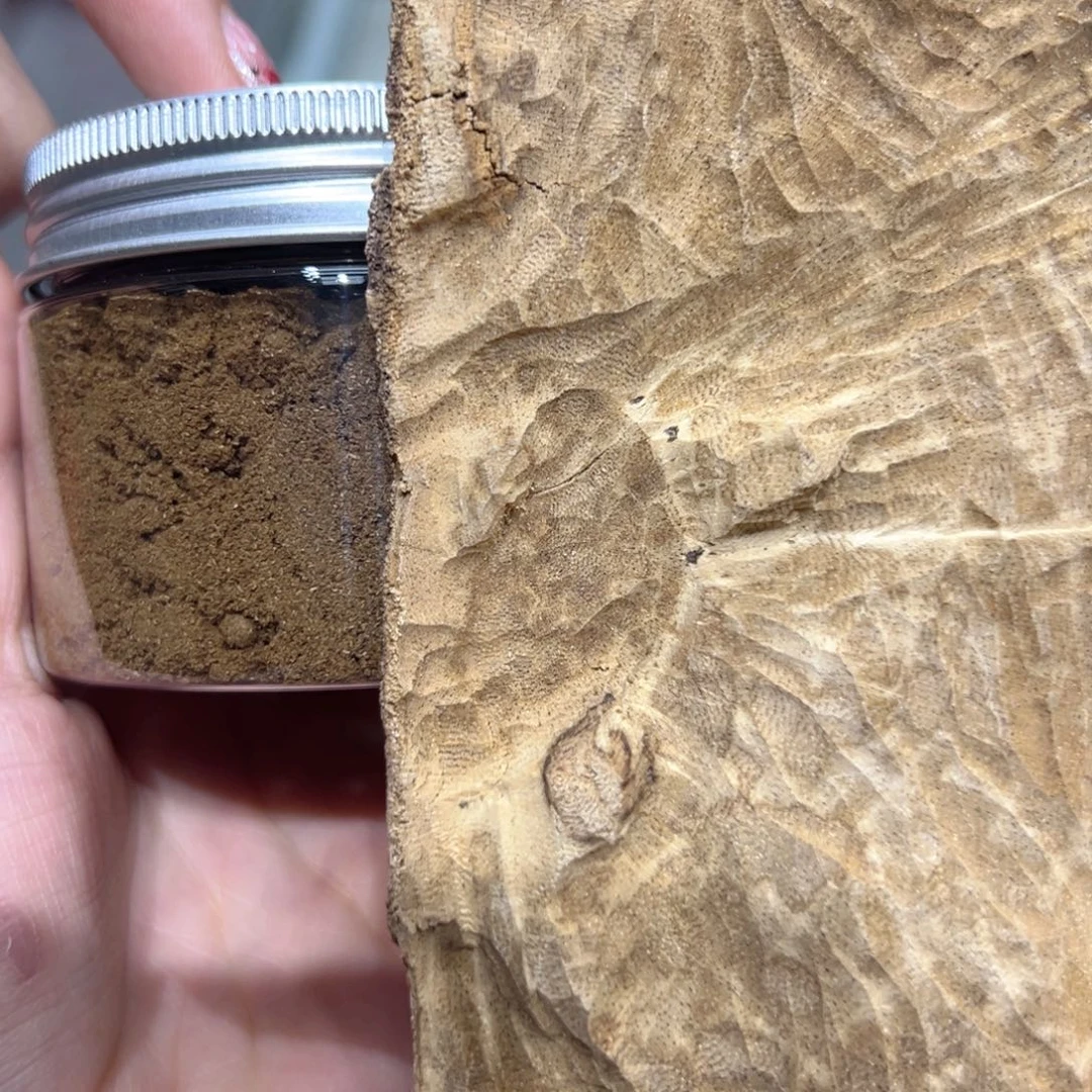 【闪购商品】香榧木海南木料种植绿棋粉40克